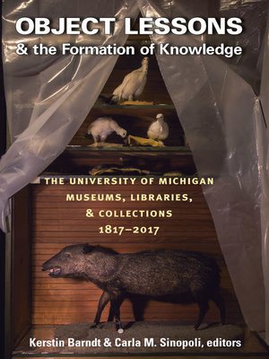 cover image of Object Lessons and the Formation of Knowledge